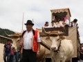 IMG_1541