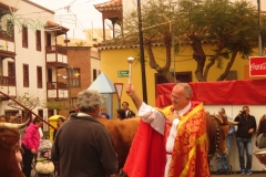 Bendicion de Ganado 2018