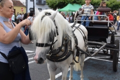 Los viernes de julio 2018. Ganadería y la Agricultura