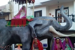 Fiesta de las Carrozas