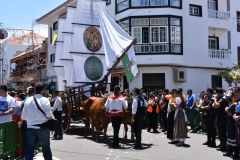 Romería 2019
