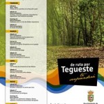 MARQ TEGUESTE 2014