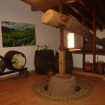 inaiguracionzamorano3