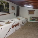 inaiguracionzamorano4