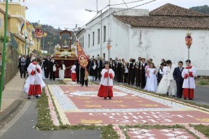 OctavaCorpusPedroAlvarez14
