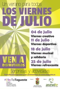 campanacomerciojulio2014