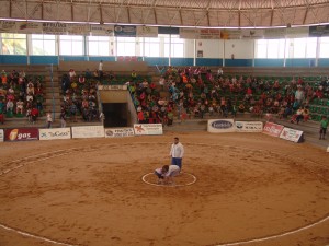 luchaescolares1