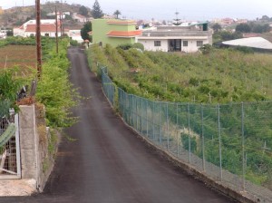 caminoelperal1