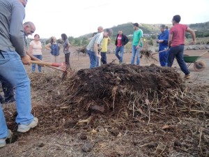 teguesteagricola2