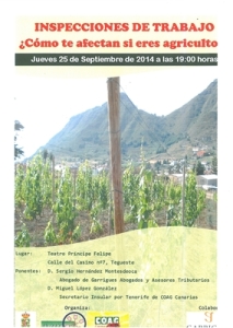 copia%20de%20cartelcharlainspecciones