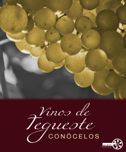 CartelVinosDeTeguesteConocelos009