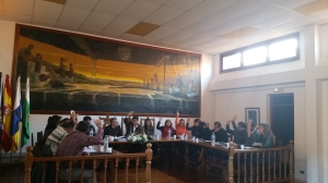 plenopresupuestos2014