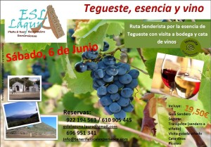 Ruta Tegueste vino