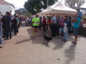 tallercanino