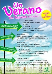 aedl_cartelverano2015