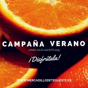 campañamercadilloverano
