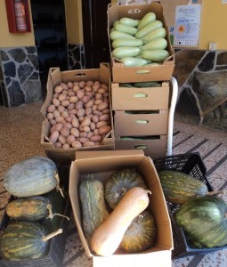 verduras