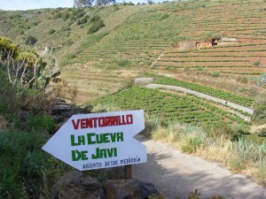 Ventorrillo