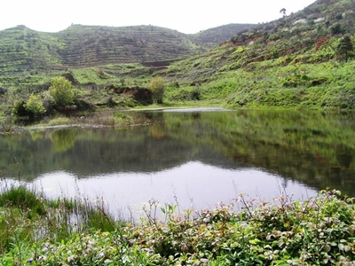 erjos