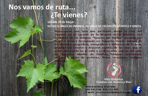 ruta