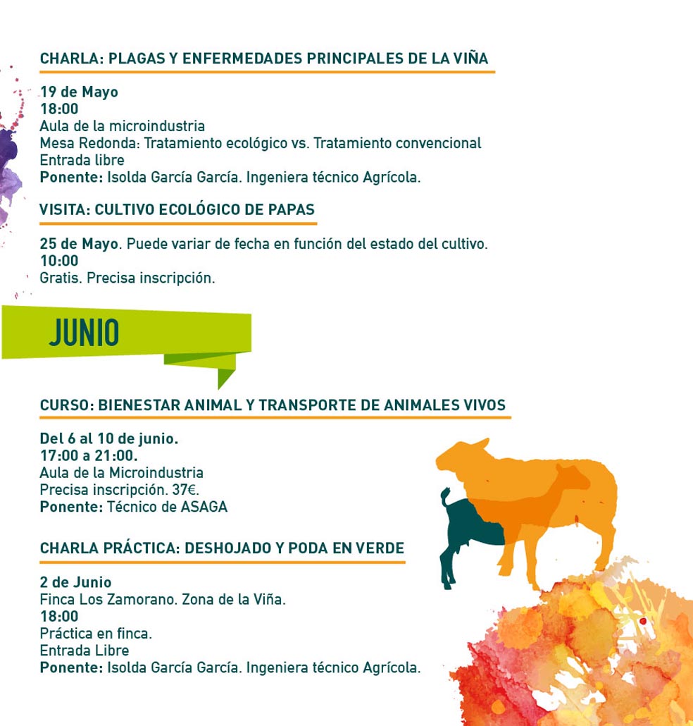 TRIP TEG AGRICOLA 16x16