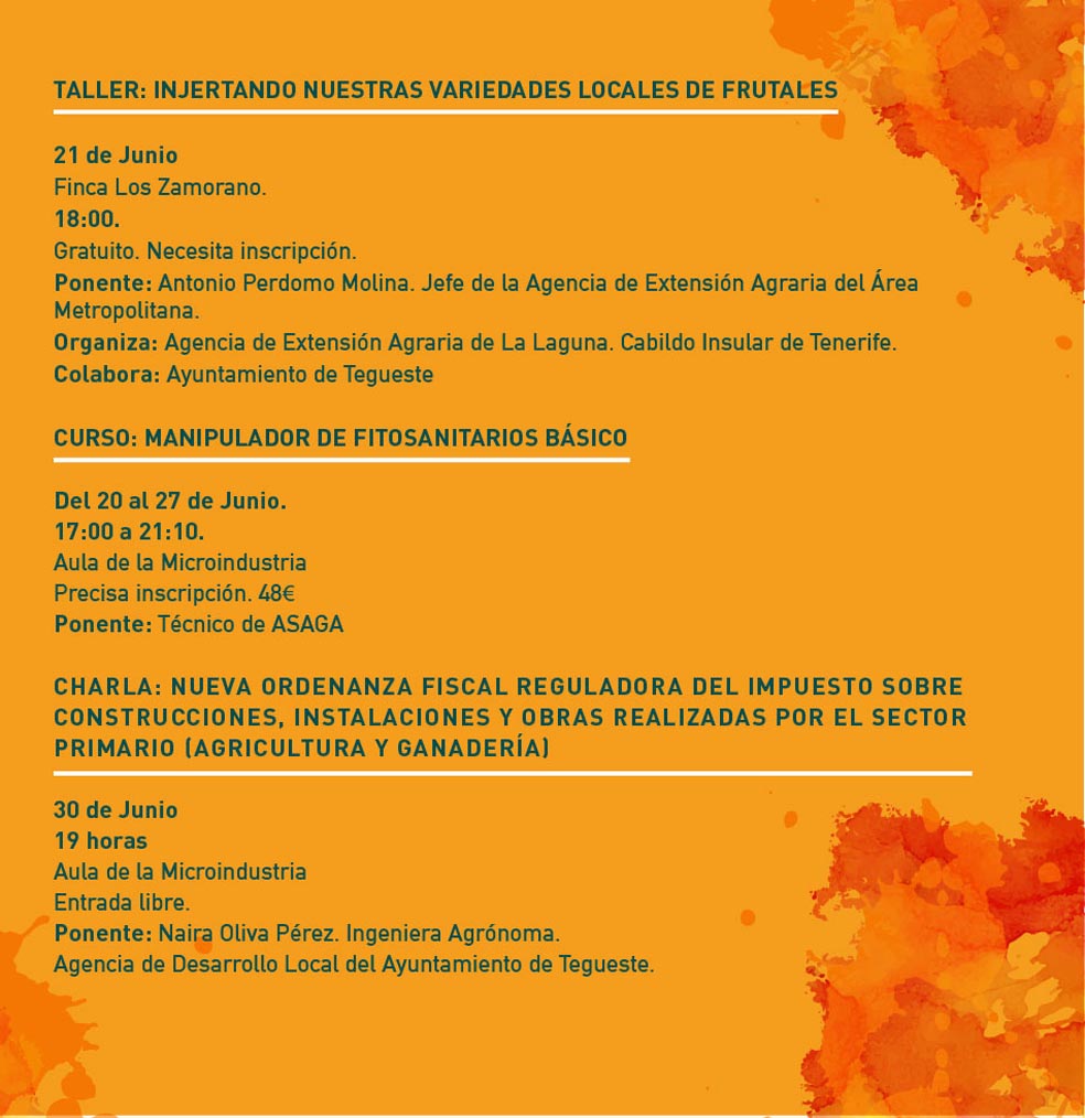 TRIP TEG AGRICOLA 16x16