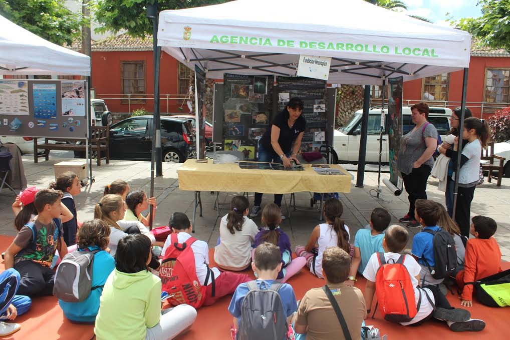 feria ambiental