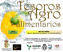 TESOROS-AGROALIMENTARIOS-Berros-con-Encarna-Suárez-1-250x208