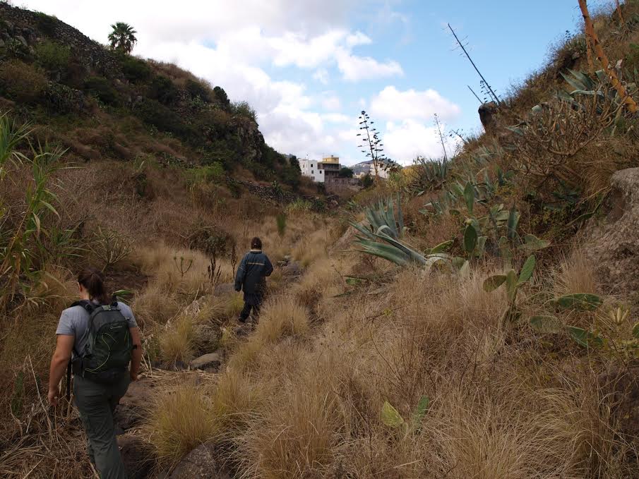 ruta guanche