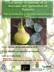 las-peras-te-esperan-en-mercadillo-de-tegueste-cartel