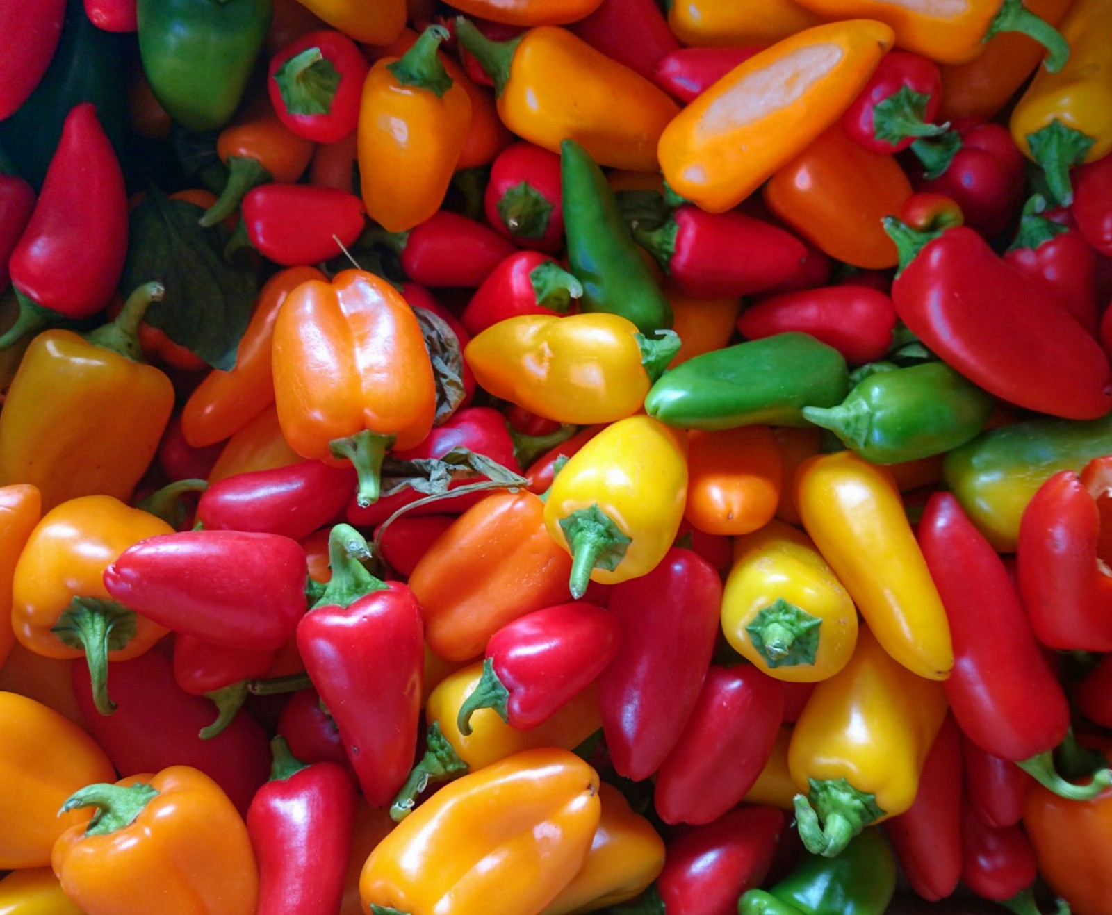 pimientas-y-pimientos-canarios-en-mercado-del-agricultor-de-tegueste-e1476124574708