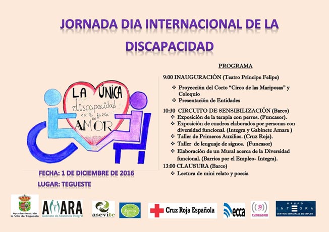 jornadadiscapacidadgrande20116