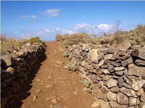 (Camino Las Peñuelas)