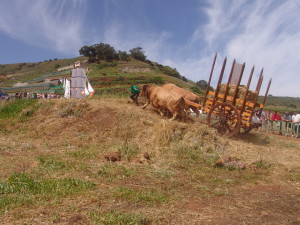 manejoyuntas1
